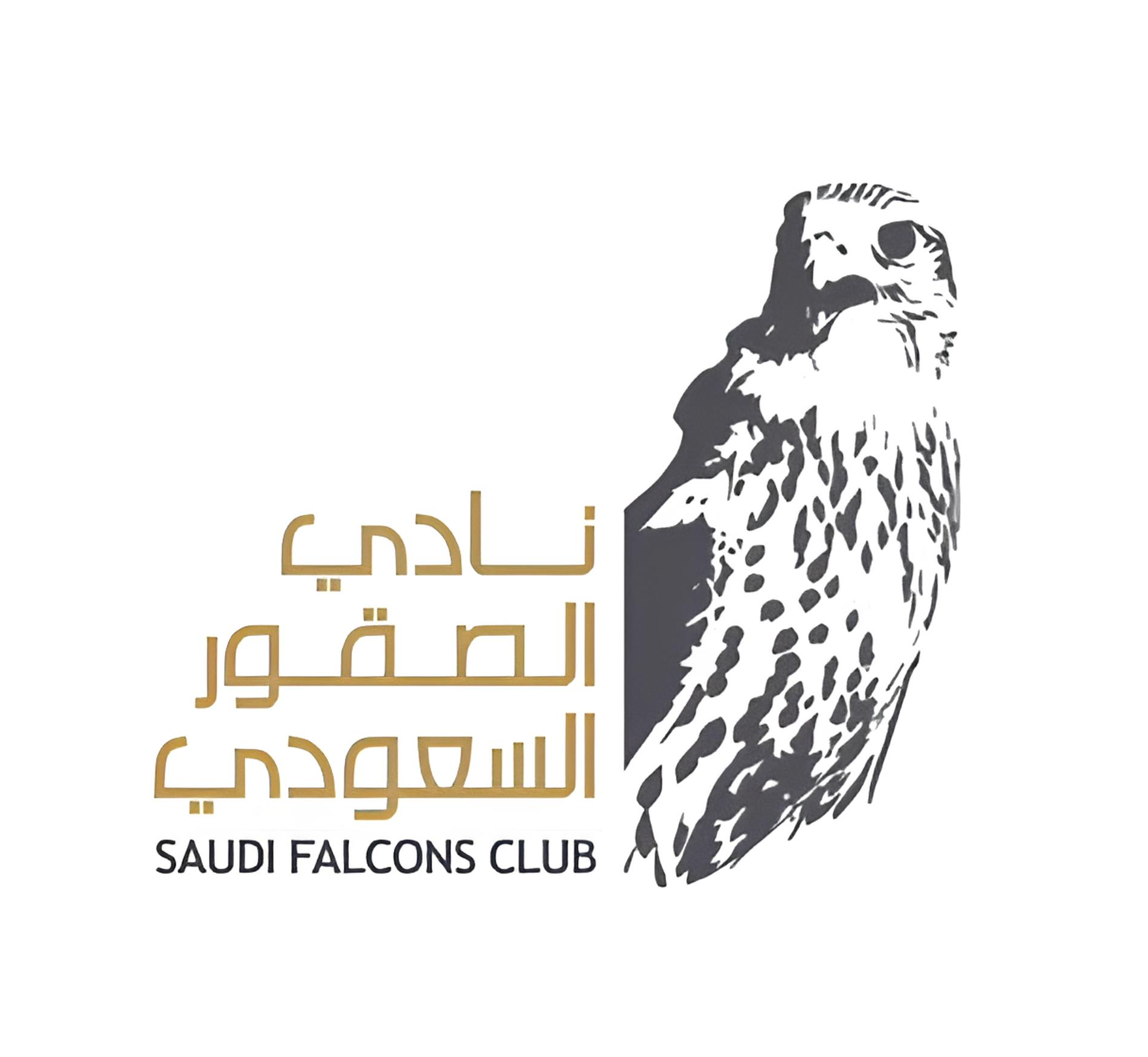 نادي الصقور فقط اللوجو